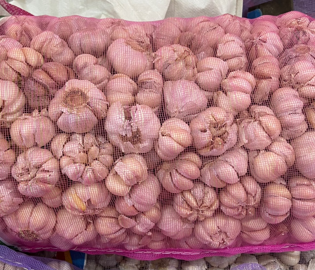 Bawang Putih